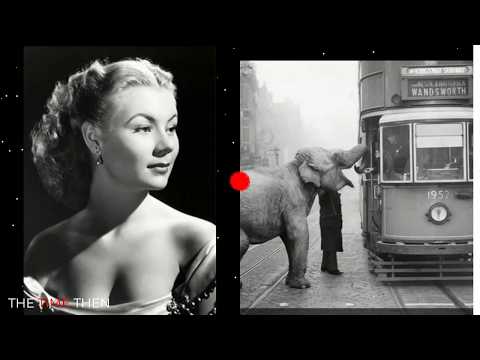 Mid-Change Shots: Transition Moments