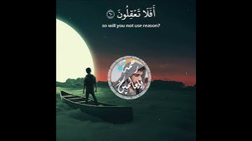 تلاوة هادئه  تفيض جمالاً أرح بها بالك ومسمعك💚عبيدة موفق @obaidamuafaq