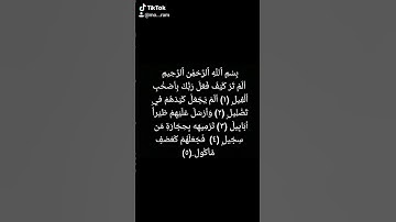 قرآن كريم الشيخ ياسر الدوسري سوره الفيل