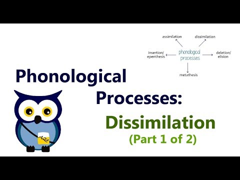 Phonological Processes: Dissimilation (Part 1 of 2)