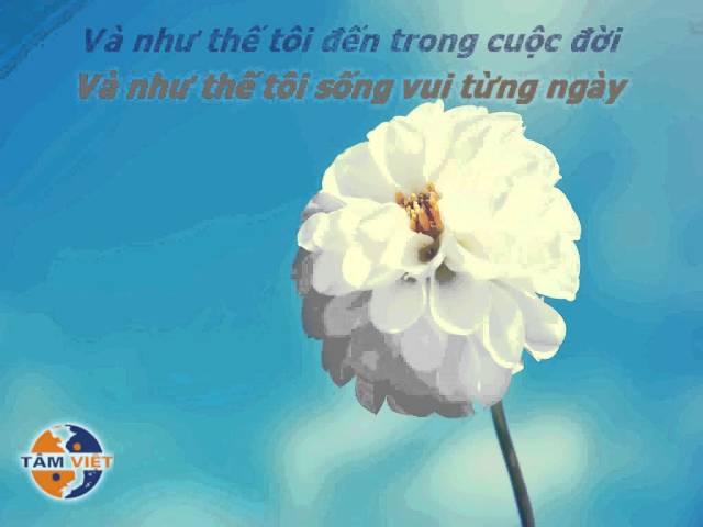 Mỗi ngày tôi chọn 1 niềm vui Vietsub Lyrics class=