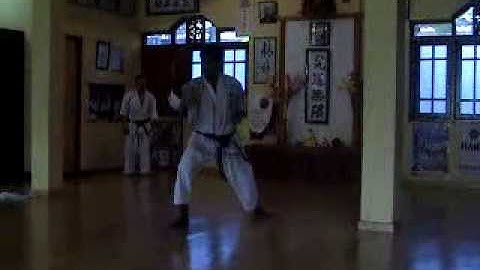 Fukyugata Ni - Shorin Ryu KYUDOKAN Karate-do