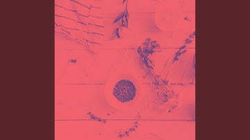 Sprightly Backdrops for Cooking at Home