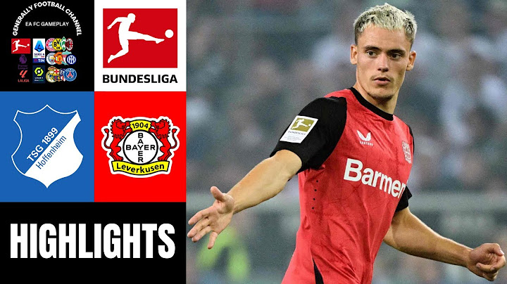 TSG Hoffenheim vs Bayer 04 Leverkusen 3.Spieltag Bundesliga Highlights