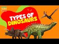 Dinosaur Learning Quiz