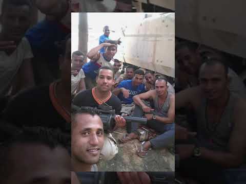 اسود سيناء ارض المعارك 