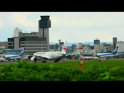 天草エアライン・みぞか号 生中継!伊丹空港!! Plane Spotting Itami Airport 10/12/2025