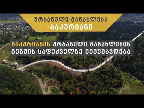 საქართველოს რეგიონული განვითარებისა და ინფრასტრუქტურის სამინისტროს წლიური ანგარიში 2020