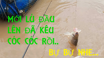Câu cá cóc sông Tiền ; Hôm nay quyết đấu với Hải đẹp trai, tỉ số 4-3.