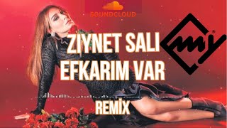 Ziynet Sali - Efkarım var ( Murat Yaran Remix ) Resimi