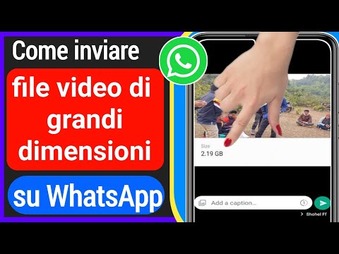 Video: Quanto grandi file puoi inviare su WhatsApp?