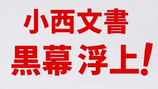 【浜田聡】小西文書の黒幕が急浮上！総務省ミスターXの正体とは！そして英BBCがジャニーズ事務所の闇を大特集 → 日本のTVは完全スルー！【国会最新質疑 高市早苗 小西洋之】