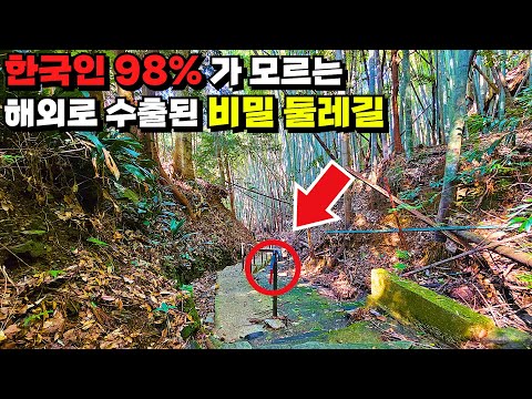 🇰🇷 지금까지 받은 사용료만 1억 4천만 원! 이제는 외국인이 더 많이 찾는 숨겨진 명품 둘레길 여행