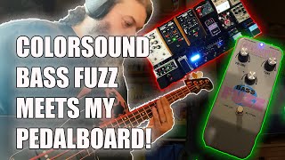 Colorsound Bass Fuzz meets my Pedalboard!