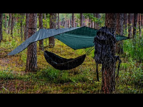 The Truth About Hammock