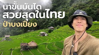 Listening to the Sound of Nature at Ban Pa Bong Piang, Chiang Mai 2022 | CHINOTOSHARE [ENG CC] screenshot 4