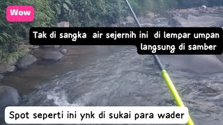 sungguh!!!! tak di sangka ternyata banyak wader di spot ini