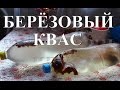 Березовый квас. Самый простой рецепт.