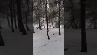 Yol Düş Penceremin Buğusu.... Resimi