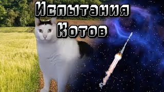 Испытания котов: 3 серия