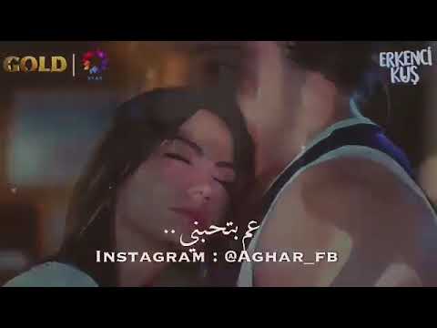 عطول بدي حس زيادة اليسا حالات واتس