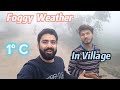 Foggy weather in village village