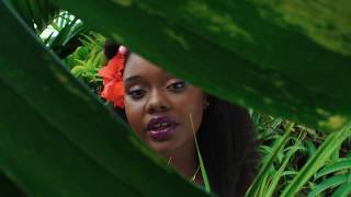 Amindi, Tessellated & Valleyz - Pine & Ginger (Official Video) chords