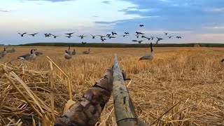 EPIC 3-MAN Early Season Goose Hunt