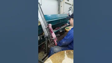 Снятие шкурки норки