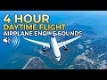 Airplane Engine Sounds Sleep | 4 Hour Daytime Flight Window Views &amp; NYC Landing at JFK (No Talking)