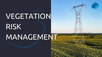Vegetation Risk Management