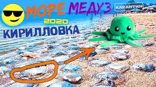 Кирилловка 2020 Медузы Азовское Море Пляж Коса Пересыпь