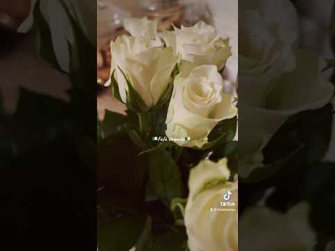 مايبغوناش بصح يموتو على خبارنا  روتين تحفيزي