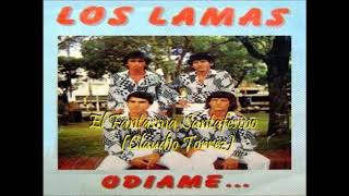Video thumbnail of "Los Lamas - Se que eso es amor"