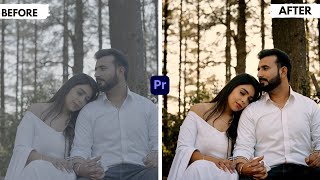 How to Create Golden Brown and Complementary Look With Premiere pro 2024