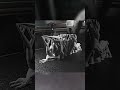 Lifelike Aliens Xenomorph 3d Print Timelapse! #timelapse #3dprint #shorts