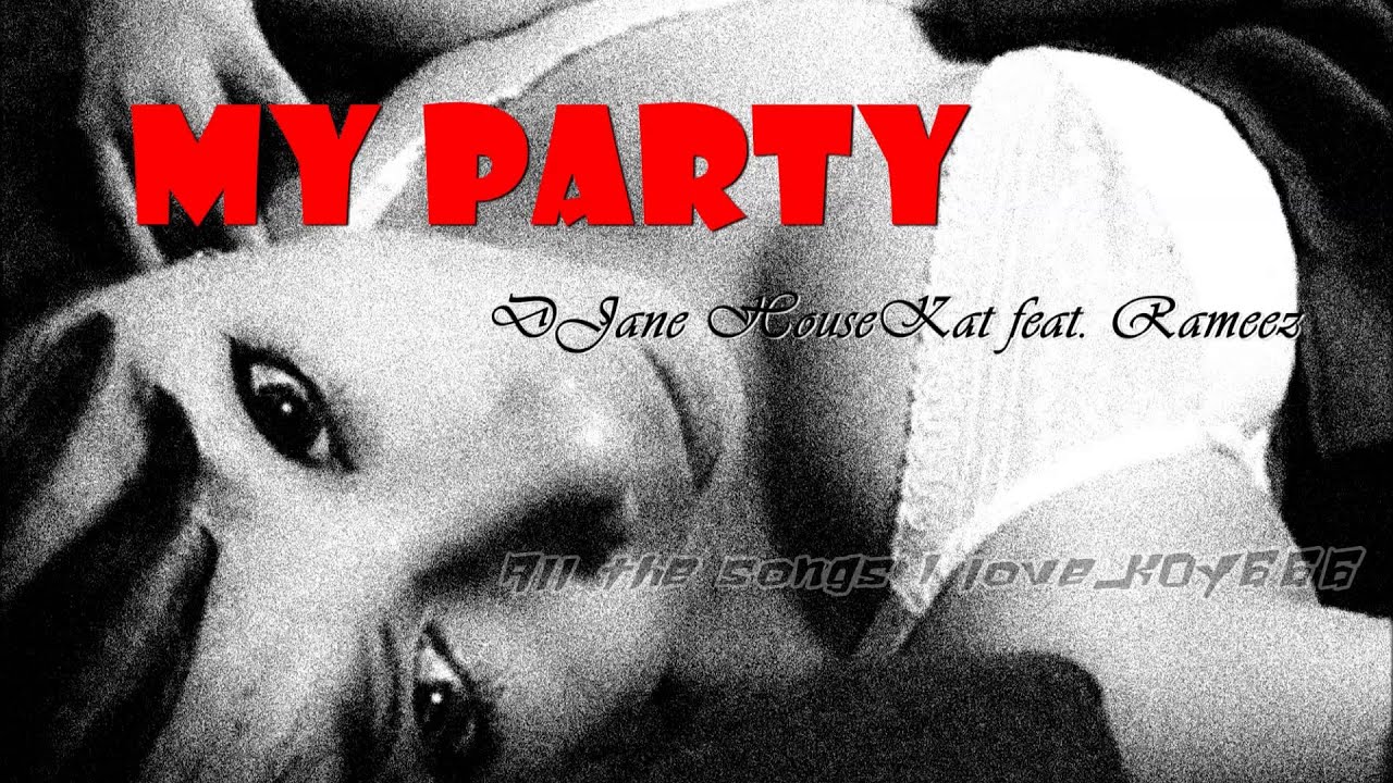 My Party Djane Housekat Feat Rameez