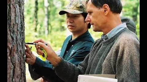 Tree Decay Detection - Introduction