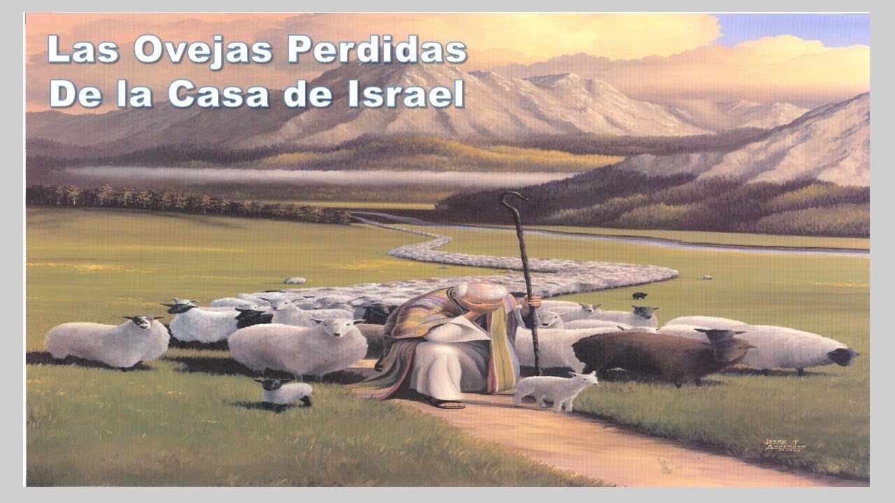 Ovejas Perdidas De La Casa De Israel
