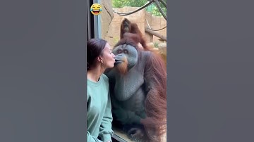 Crazy epic fails 😂😂 😂 #shorts #memes #fails #funnymoments