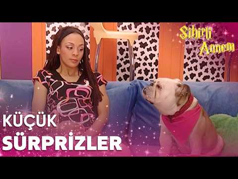 Eda, Taci'yi Oyalıyor! | Sihirli Annem