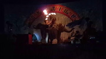 Bé đi xem xiếc ảo thuật xiếc thú tập 2 màn trình diễn múa lửa