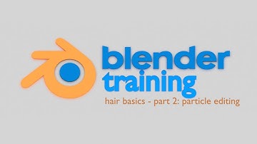 Blender Training - Hair Basics: Part 2 - Working With The Particle Editor