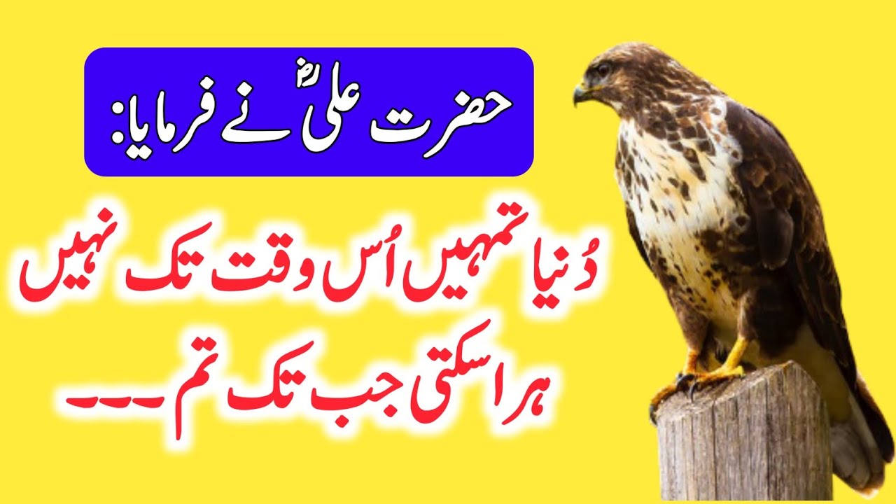 Heart Touching Quotes Of Hazrat Ali R.A In Urdu Hindi || Mola Ali Ka Farman || Urdu Charagh ||