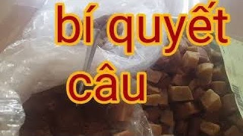 cách trộn mồi câu cá a quỳ - bí quyết trộn mồi câu cá - câu hồ - câu giải - vạn lộc tv