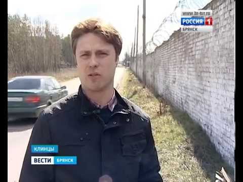 Проверка  Клинцовской колонии.