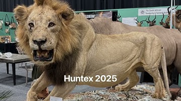 Huntex 2025 Walk Through