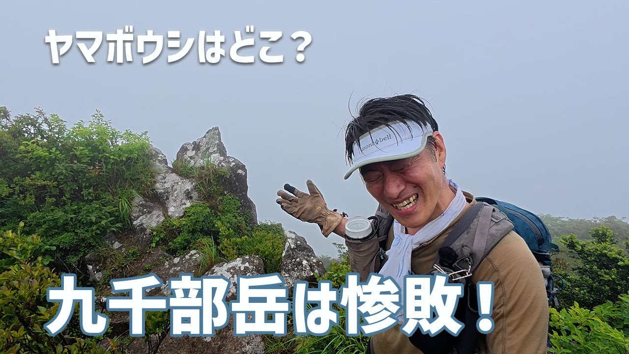 【日帰り登山】 梅雨空の九千部岳はガスガスで惨敗したよ！　2025.06.17