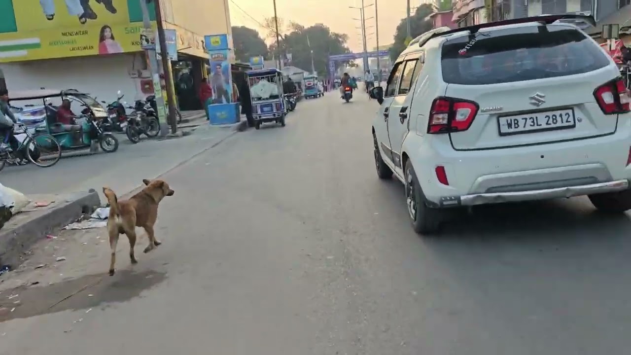 Part.2// হলদিবাড়ি জয়ী সেতু নির্মাণ।। Holdibari Rd.vlog video. #holdibari#beltoli #vlog 