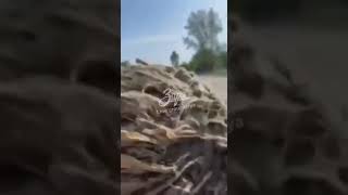 Военнослужащие ВСУ улетели в водоем с моста, который сами ранее подорвали